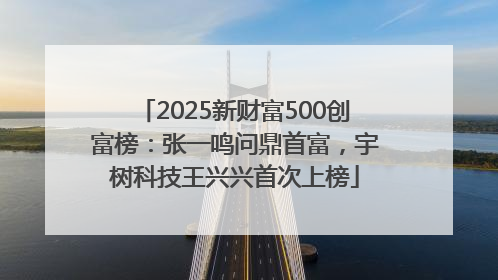 2025新财富500创富榜：张一鸣问鼎首富，宇树科技王兴兴首次上榜