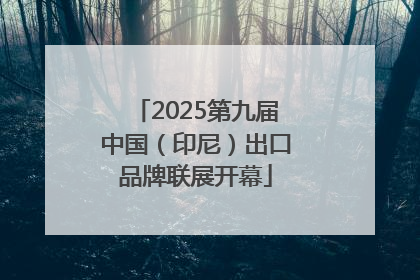 2025第九届中国（印尼）出口品牌联展开幕