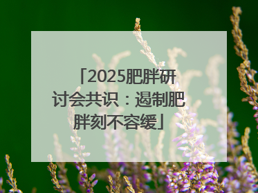 2025肥胖研讨会共识：遏制肥胖刻不容缓