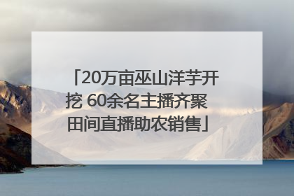 20万亩巫山洋芋开挖 60余名主播齐聚田间直播助农销售
