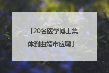 20名医学博士集体到曲靖市应聘