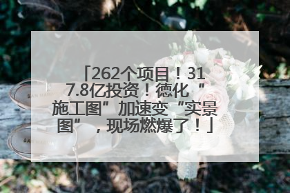 262个项目！317.8亿投资！德化“施工图”加速变“实景图”，现场燃爆了！