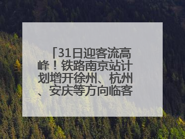 31日迎客流高峰！铁路南京站计划增开徐州、杭州、安庆等方向临客90.5对