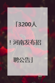 3200人！河南发布招聘公告