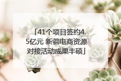 41个项目签约4.5亿元 新疆电商资源对接活动成果丰硕