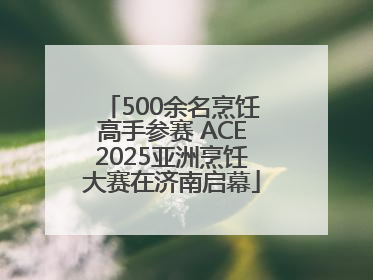 500余名烹饪高手参赛 ACE2025亚洲烹饪大赛在济南启幕
