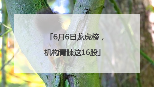 6月6日龙虎榜，机构青睐这16股