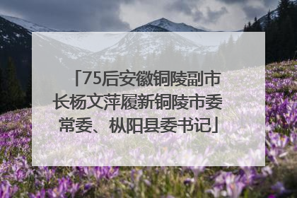 75后安徽铜陵副市长杨文萍履新铜陵市委常委、枞阳县委书记