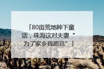80亩荒地种下童话，珠海这对夫妻“为了家乡我愿意”
