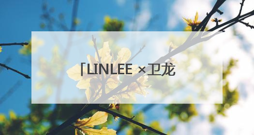 LINLEE ×卫龙：一场 “辣” 与 “爽” 的跨界狂欢