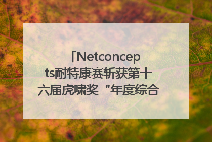 Netconcepts耐特康赛斩获第十六届虎啸奖“年度综合服务商”大奖