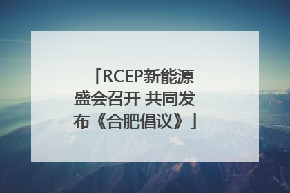 RCEP新能源盛会召开 共同发布《合肥倡议》